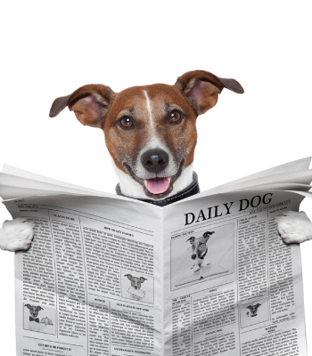 newsletter-popup-thumb