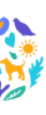 footer-shape